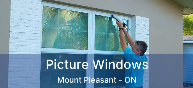 Picture Windows Mount Pleasant - ON