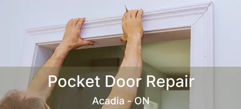 Pocket Door Repair Acadia - ON