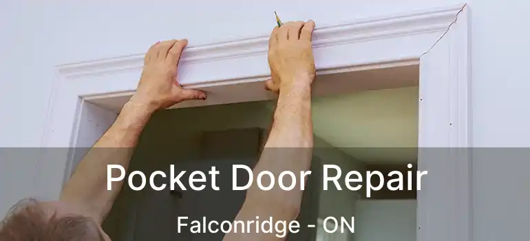 Pocket Door Repair Falconridge - ON