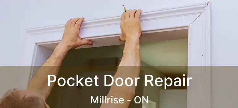 Pocket Door Repair Millrise - ON