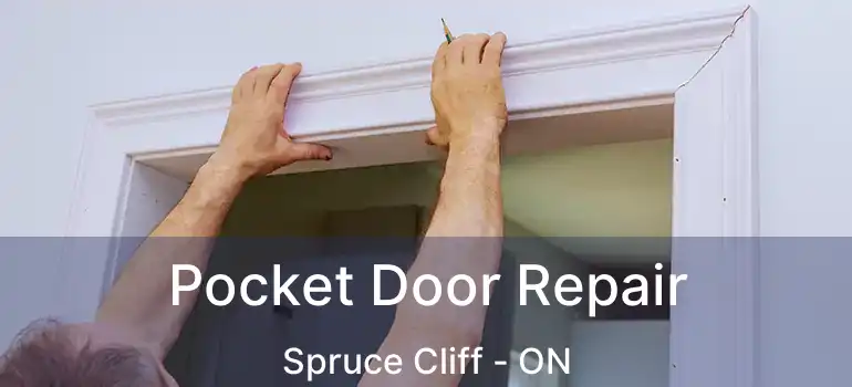 Pocket Door Repair Spruce Cliff - ON