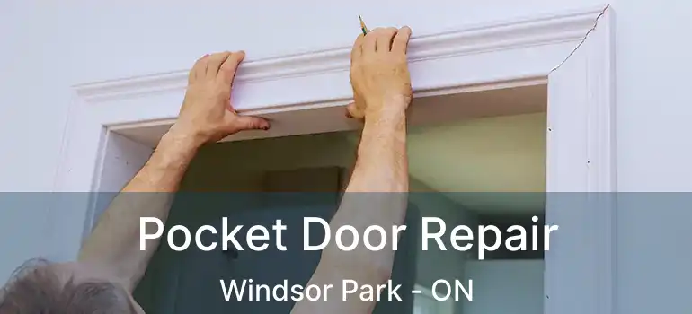 Pocket Door Repair Windsor Park - ON