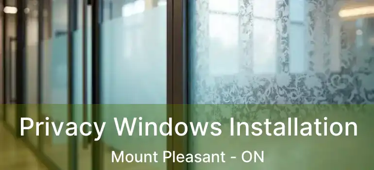 Privacy Windows Installation Mount Pleasant - ON