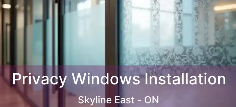 Privacy Windows Installation Skyline East - ON
