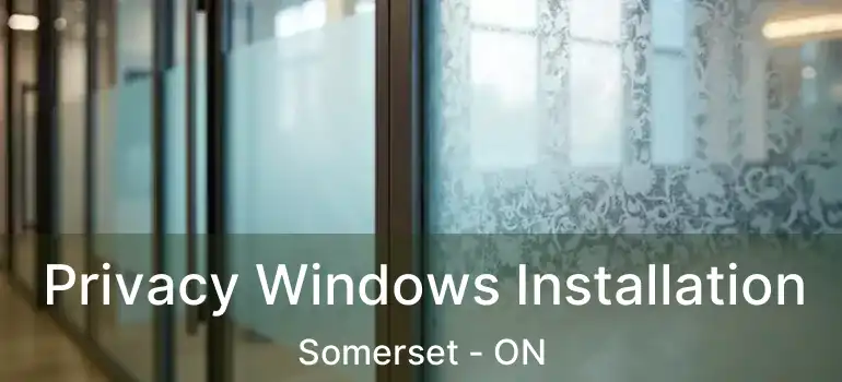 Privacy Windows Installation Somerset - ON