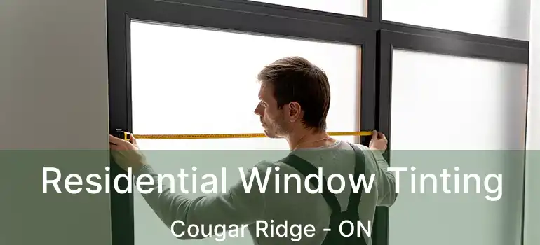 Residential Window Tinting Cougar Ridge - ON