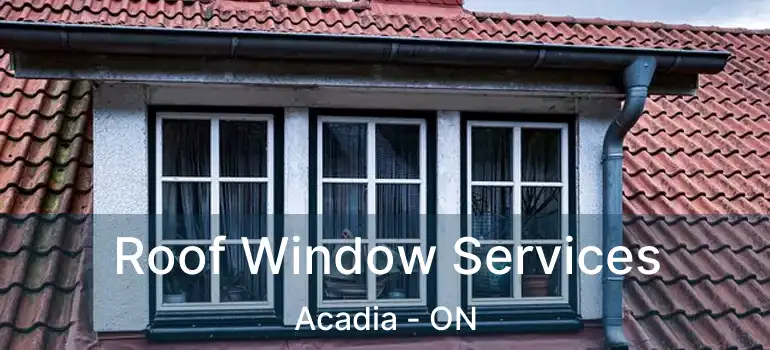 Roof Window Services Acadia - ON
