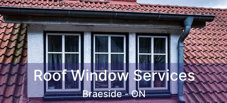 Roof Window Services Braeside - ON