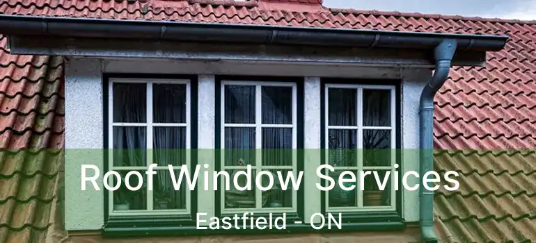 Roof Window Services Eastfield - ON