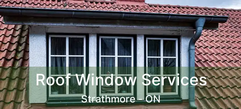 Roof Window Services Strathmore - ON