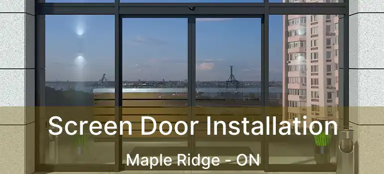 Screen Door Installation Maple Ridge - ON