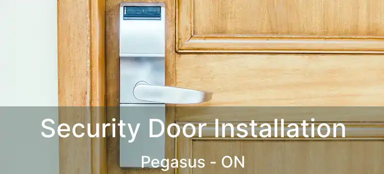 Security Door Installation Pegasus - ON