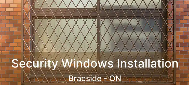 Security Windows Installation Braeside - ON