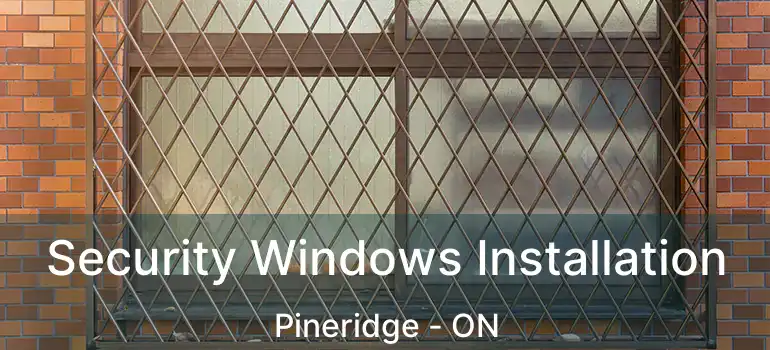Security Windows Installation Pineridge - ON