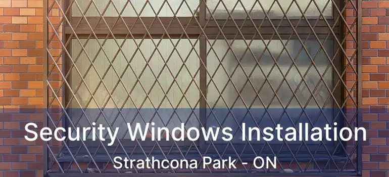Security Windows Installation Strathcona Park - ON