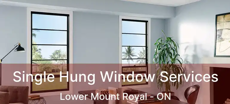 Single Hung Window Services Lower Mount Royal - ON
