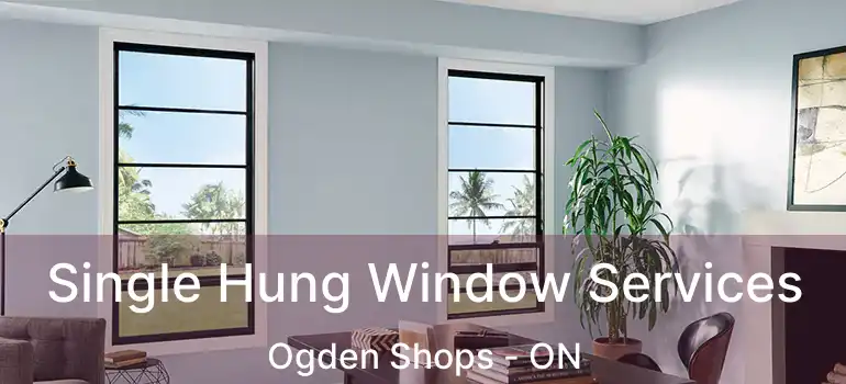 Single Hung Window Services Ogden Shops - ON