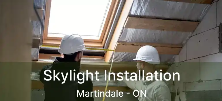 Skylight Installation Martindale - ON