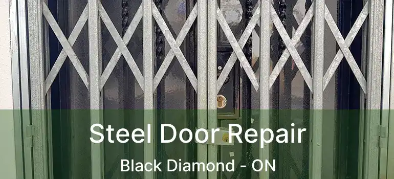 Steel Door Repair Black Diamond - ON
