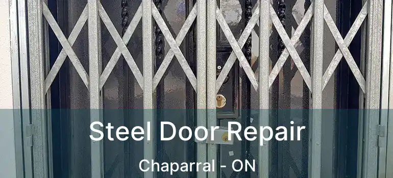 Steel Door Repair Chaparral - ON