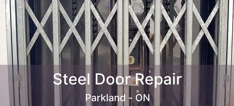Steel Door Repair Parkland - ON