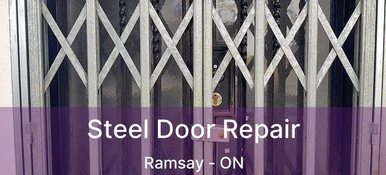 Steel Door Repair Ramsay - ON
