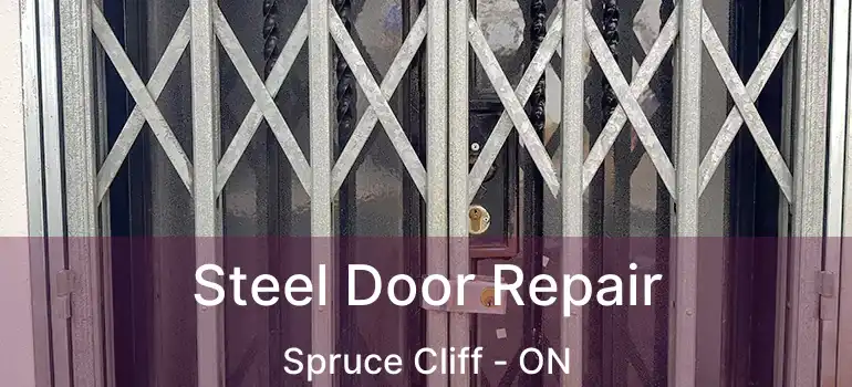 Steel Door Repair Spruce Cliff - ON