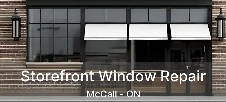Storefront Window Repair McCall - ON