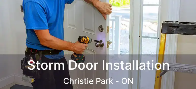 Storm Door Installation Christie Park - ON