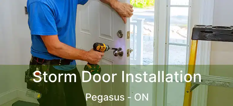 Storm Door Installation Pegasus - ON