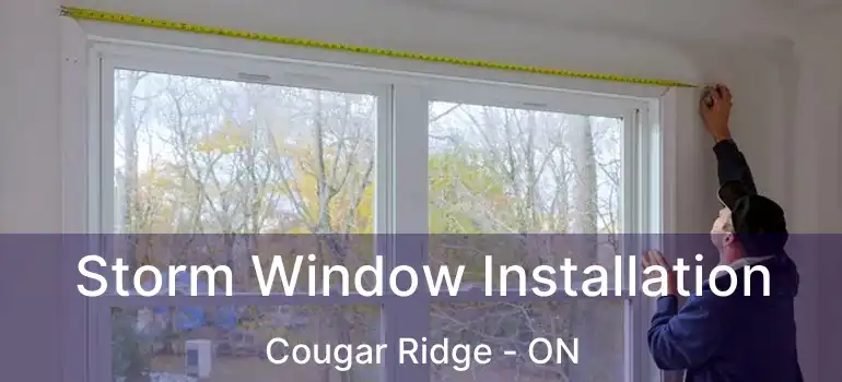 Storm Window Installation Cougar Ridge - ON