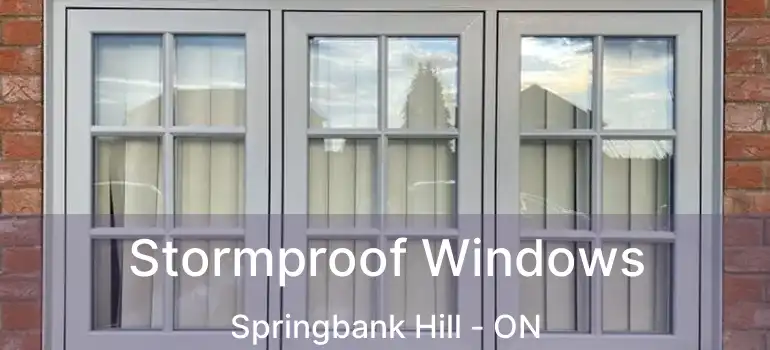 Stormproof Windows Springbank Hill - ON