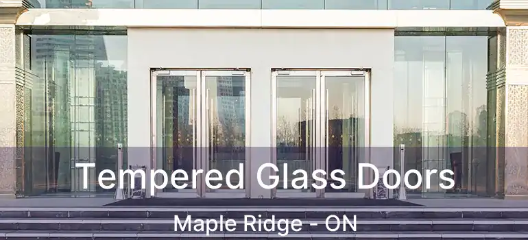 Tempered Glass Doors Maple Ridge - ON
