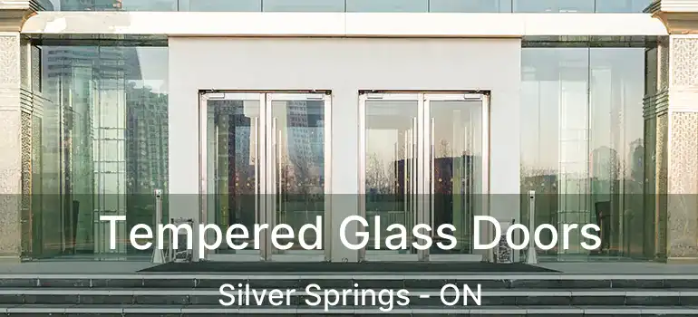 Tempered Glass Doors Silver Springs - ON