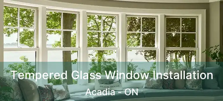 Tempered Glass Window Installation Acadia - ON