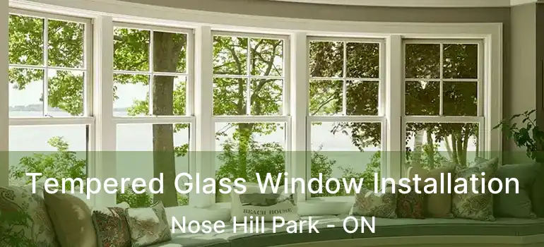Tempered Glass Window Installation Nose Hill Park - ON