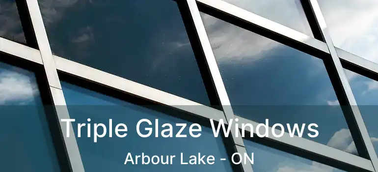 Triple Glaze Windows Arbour Lake - ON
