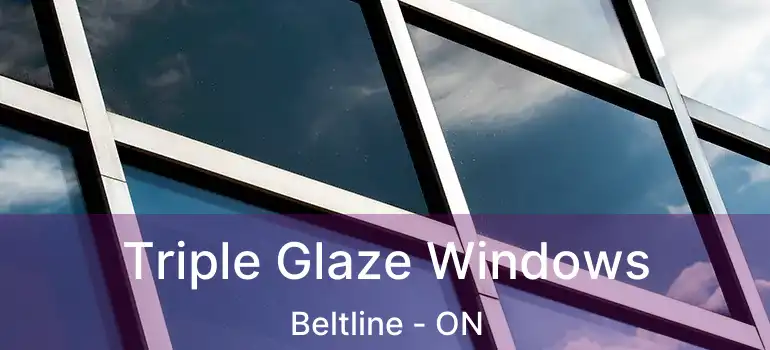 Triple Glaze Windows Beltline - ON