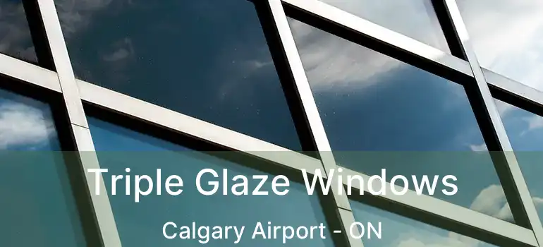 Triple Glaze Windows Calgary Airport - ON