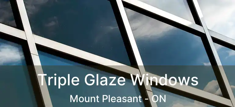 Triple Glaze Windows Mount Pleasant - ON