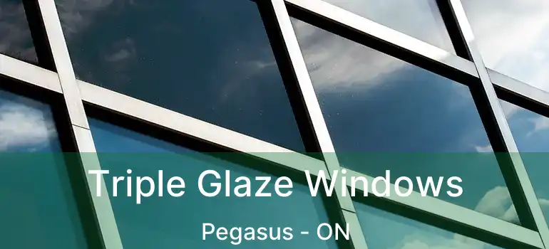 Triple Glaze Windows Pegasus - ON