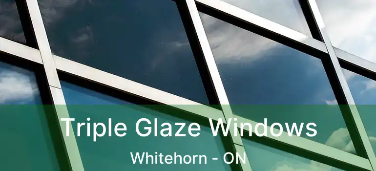 Triple Glaze Windows Whitehorn - ON