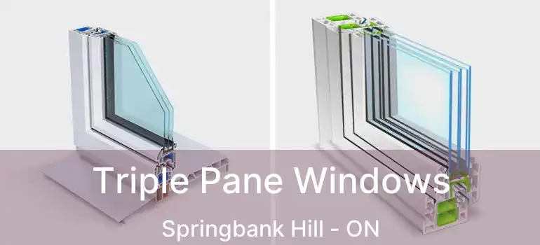 Triple Pane Windows Springbank Hill - ON