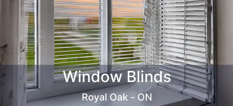 Window Blinds Royal Oak - ON