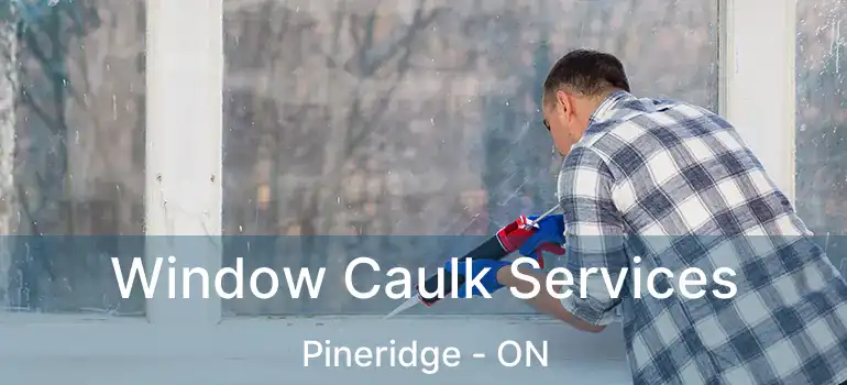 Window Caulk Services Pineridge - ON