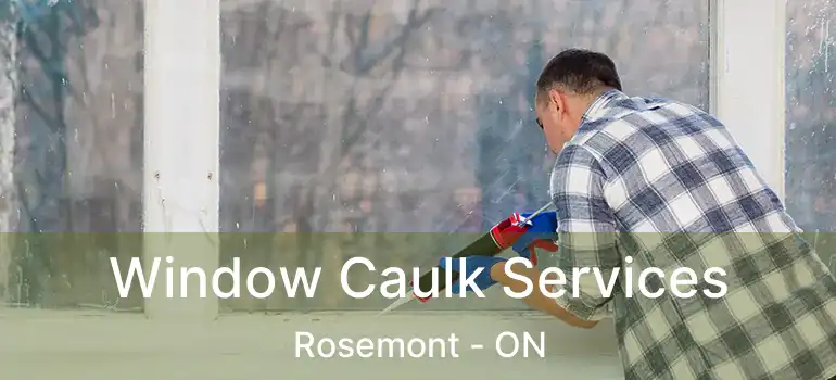 Window Caulk Services Rosemont - ON