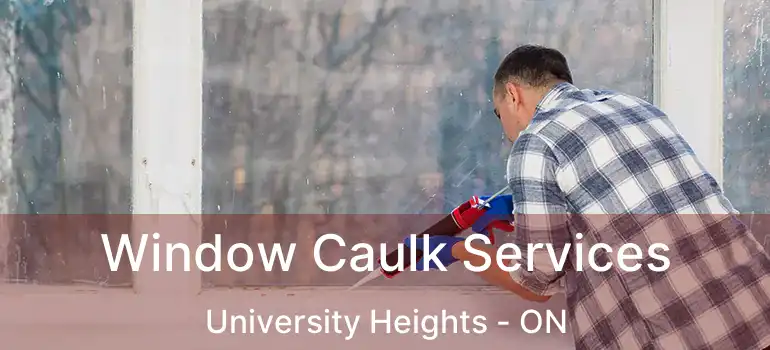 Window Caulk Services University Heights - ON