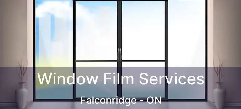 Window Film Services Falconridge - ON