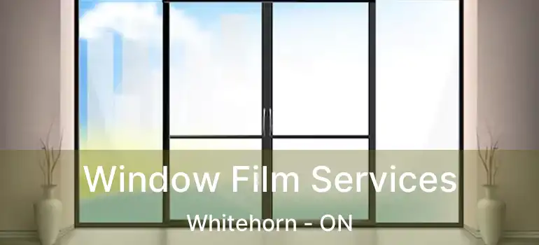 Window Film Services Whitehorn - ON