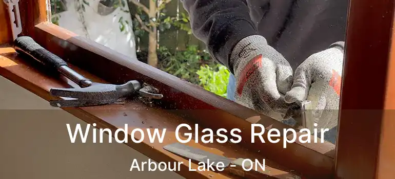 Window Glass Repair Arbour Lake - ON